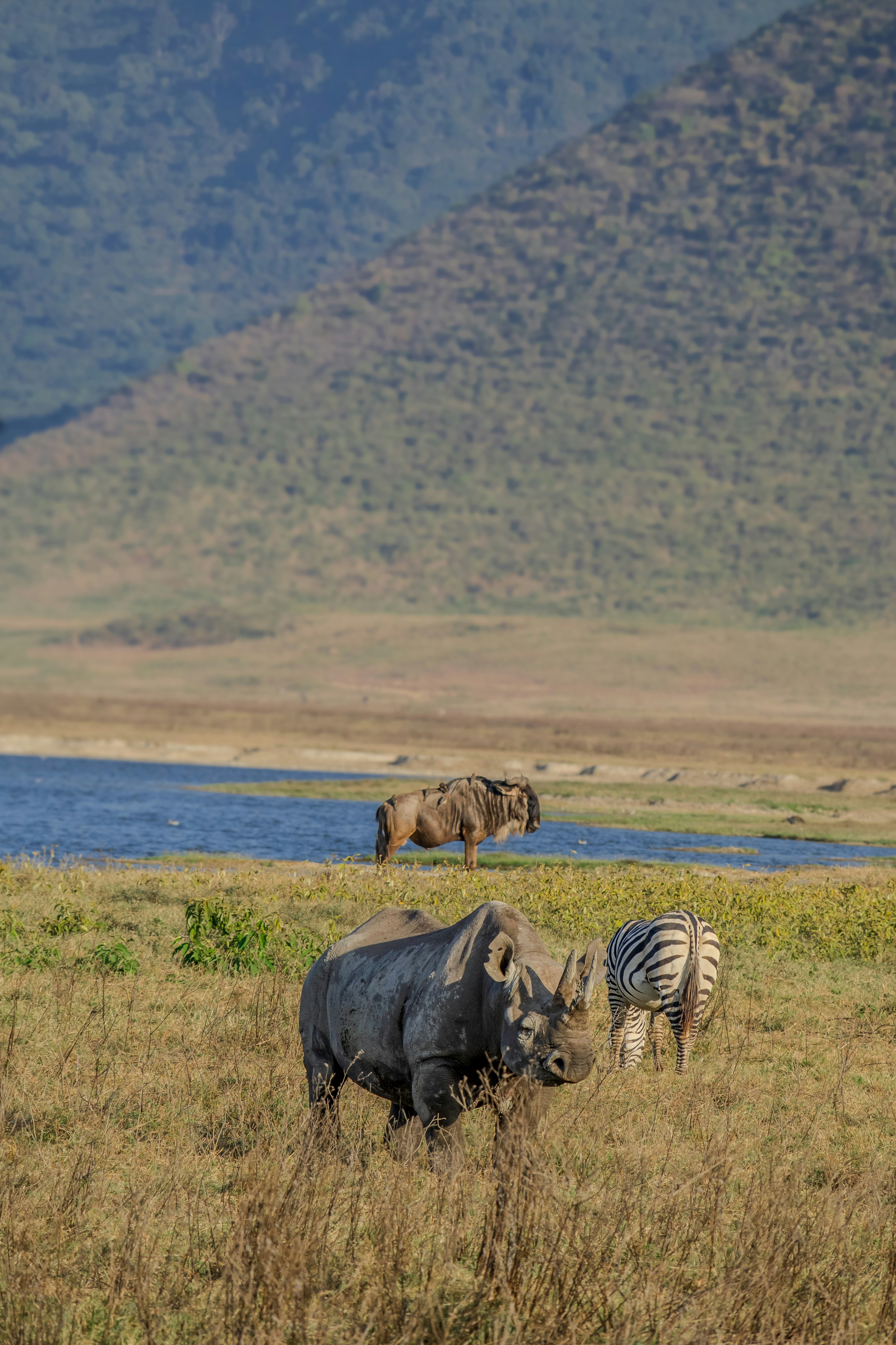 Visit Ngorongoro: Explore Tanzania’s Natural Wonder