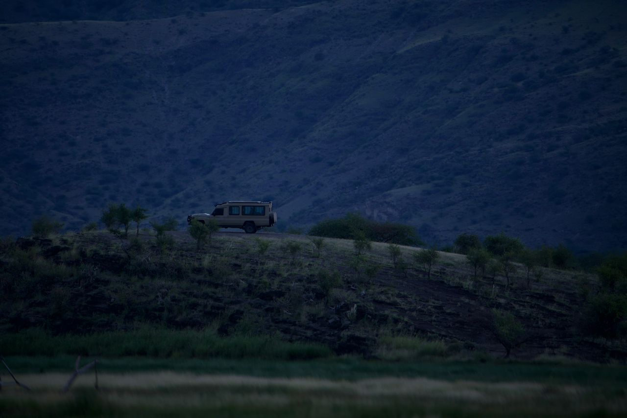 Twilight Drive — Eco-Tourism's Premium Safari Experience