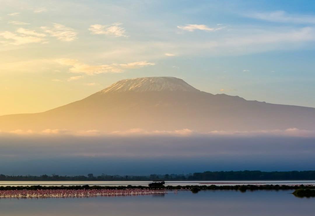 Kilimanjaro Dawn — Flamingos on the Lake