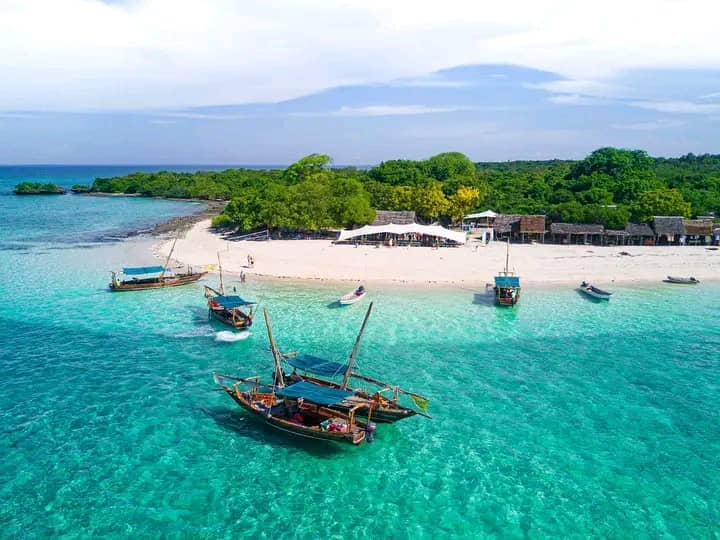 Dhow Boats at Zanzibar Island: The Soul of Swahili Commerce