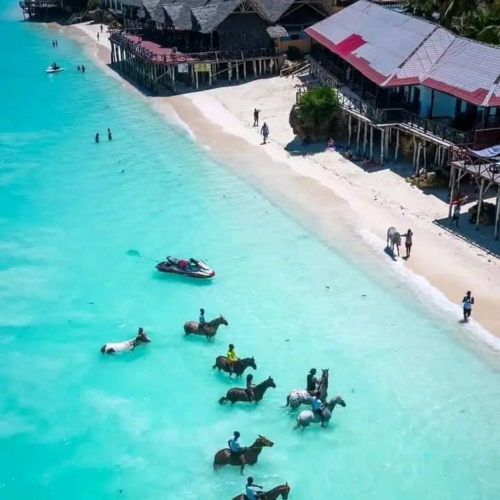 Horseback Riding in the Ocean: Zanzibar Beach Resort Life
