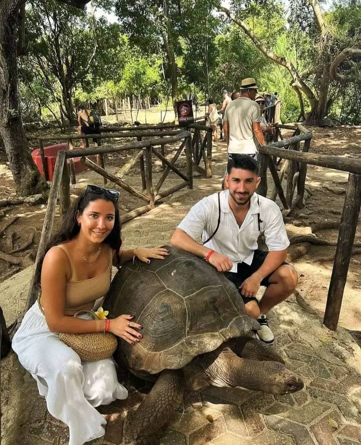 Giant Aldabra Tortoise Encounter at Prison Island