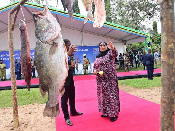 THE PRESIDENT OF THE UNITED REPUBLIC OF TANZANIA