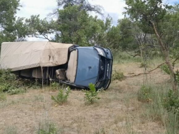 Elderly American tourists killed by elephants while on safari in Zambia