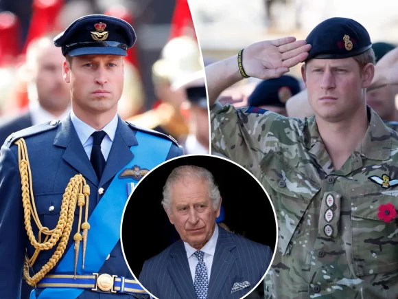 Prince William Is Allegedly Given Prince Harry’s Military Role by King Charles