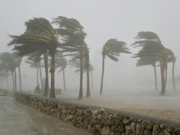 Tanzania issues a wind and wave advisory