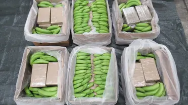 Greek Authorities Seize Cocaine Hidden in Banana Shipment Worth Over €1 Million