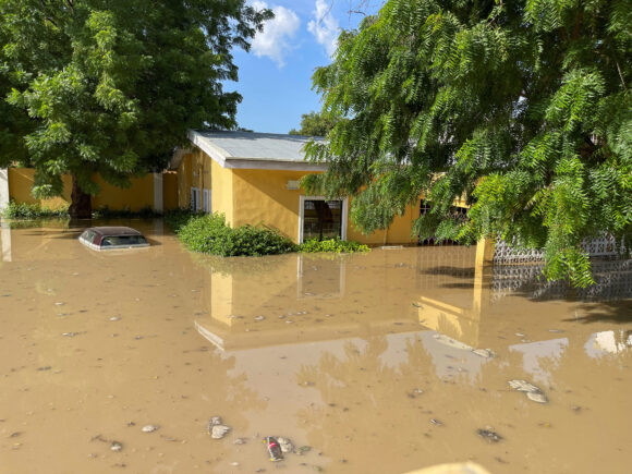 Crocodiles are washed into the community by floods that decimate the Nigerian menagerie