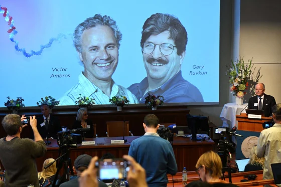 A US team led by Ambros and Ruvkun won the Nobel Prize in science for finding microRNA