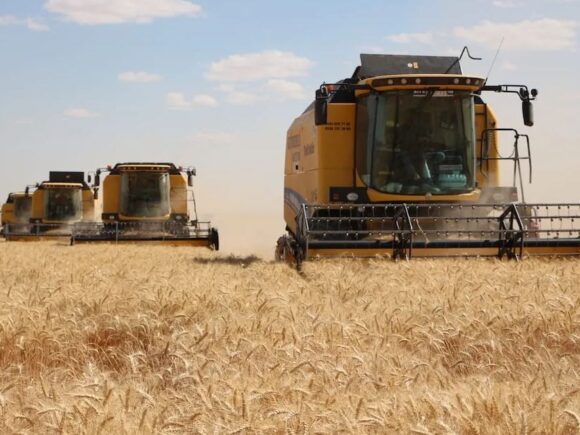 Egypt covers its wheat requirements through June 2025, according to an exclusive