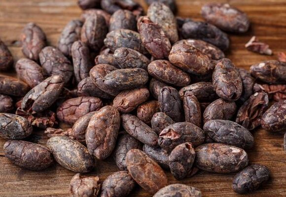 Ivory Coast cocoa prices went up 16.1% year over year in November, according to a seller group