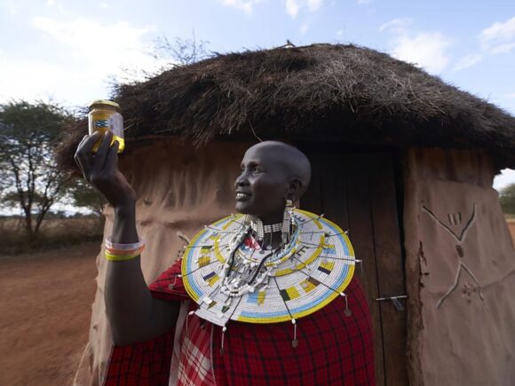 Tanzania opens its southern highlands to beekeeping tourists