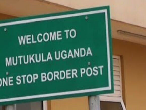 Uganda increases border monitoring in Tanzania due to a possible Marburg outbreak