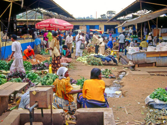 February private sector growth in Kenya is stable, but the future is bleak