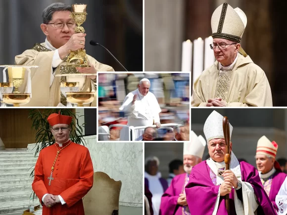 Which cardinals are most likely to succeed Pope Francis?