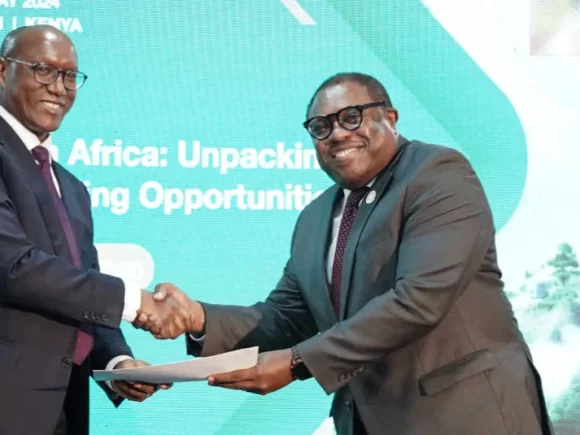 African Development Bank will launch a carbon credit support facility to increase climate finance