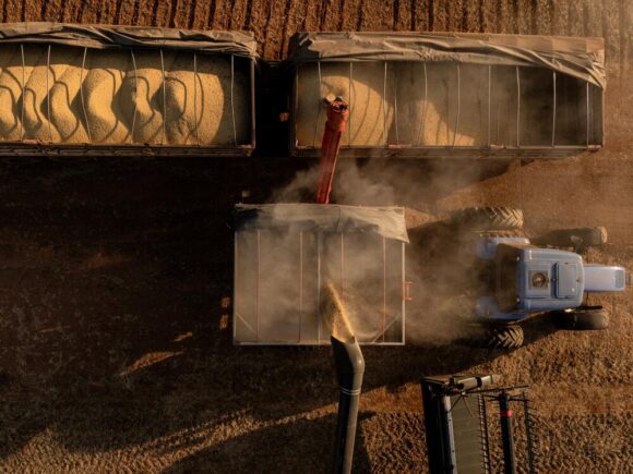 A Brazilian researcher who contributed to the nation’s grain boom has won the World Food Prize