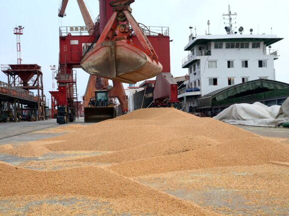 China permits the importation of Ethiopian soymeal in order to diversify its supplies