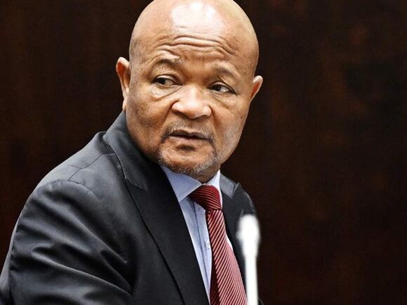 Mchunu, the minister of police of South Africa, is accused of aiding criminal gangs and interfering with investigations into political murder