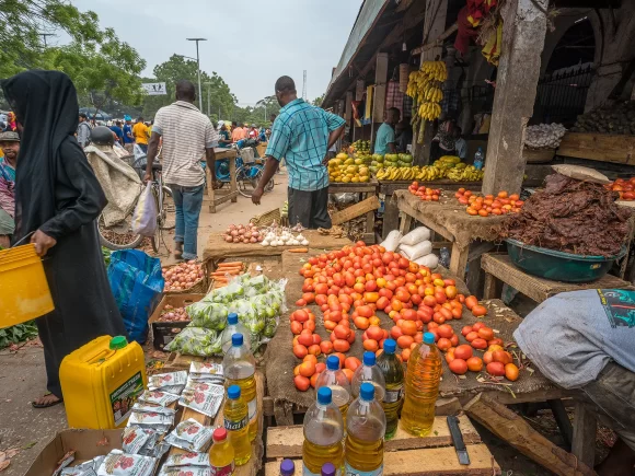 Kenyan Traders in Tanzania Confronting an Uncertain Future