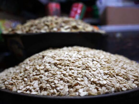 Egusi soup in outer space? Nigerian seeds have been successfully launched into orbit