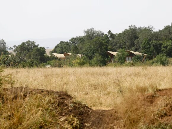 Locals in Africa are frequently harmed by luxury travel, according to recent studies