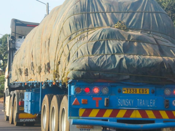 Tanzanian turmoil halts cargo headed for Rwanda