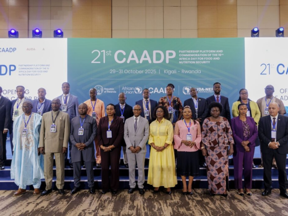 Africa’s agricultural program is seeking $100 billion as AGRA reiterates its support for states