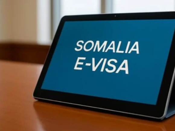 Somalia Acknowledges E-Visa System Hack, Exposing Thousands of Data