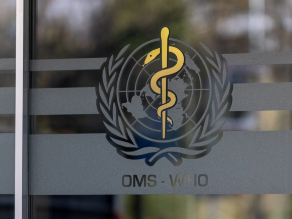 Ethiopia affirms that the Marburg virus was the origin of the epidemic that infected nine people, according to WHO
