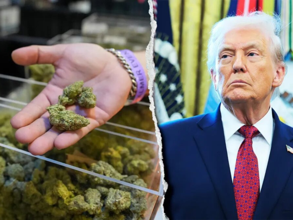Trump Directs Reclassification of Cannabis in Major US Drug Policy Change in Years