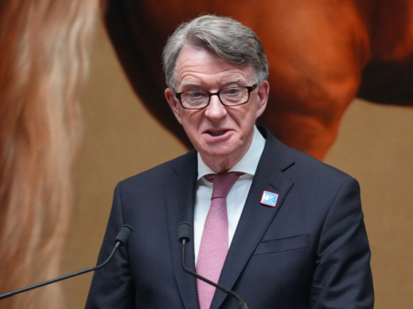 Former UK ambassador Mandelson taken into custody following Epstein disclosures