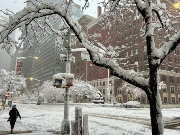 New York City Prohibits Travel as Blizzard Renders Flights Unsafe, Thousands of Cancellations