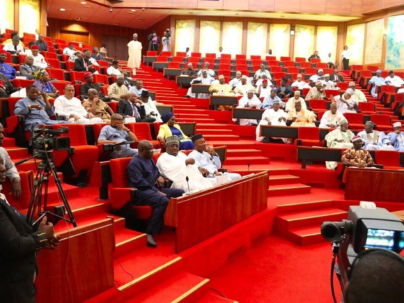 Nigeria Senate supports the transmission of real-time election results following public outcry