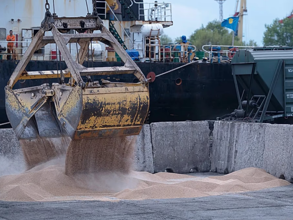 Ukraine Claims Ship with Suspected Stolen Grain Halted in Israel
