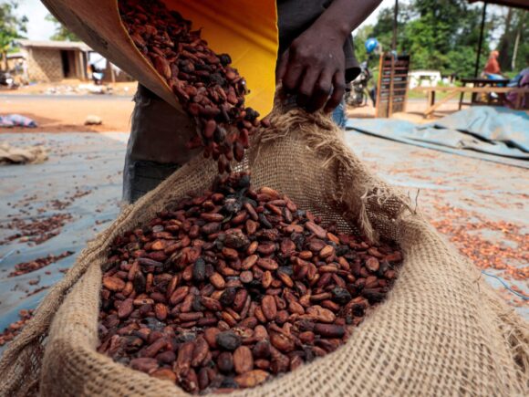 Farmers in Ivory Coast are optimistic for increased rainfall to enhance their cocoa harvest