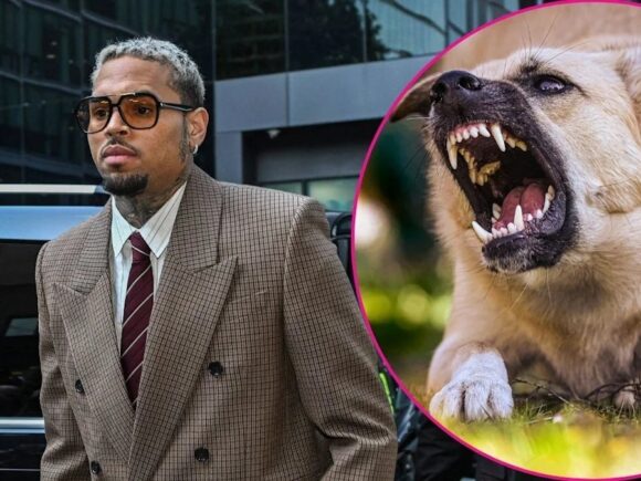 Chris Brown seeks to have the $12.9 million verdict regarding the dog attack dismissed