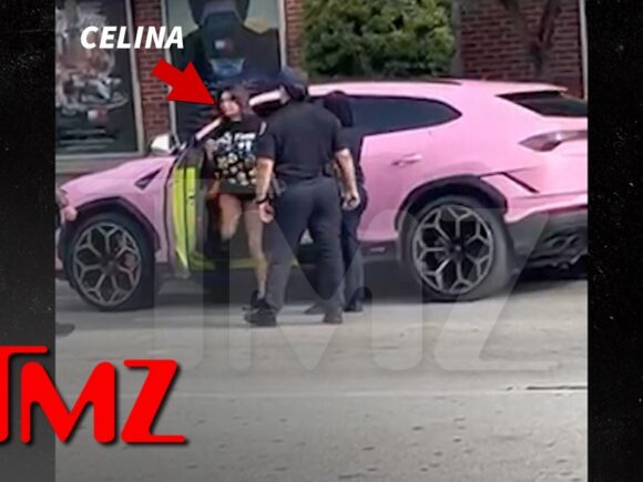Celina Powell was taken into custody in Miami after law enforcement surrounded her pink Lamborghini